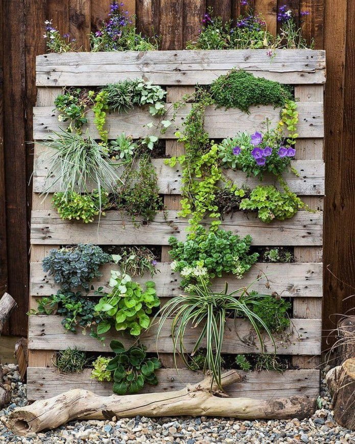 Flowerbed from a pallet