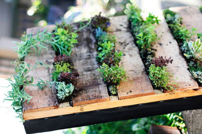 Flowerbed in a horizontal position