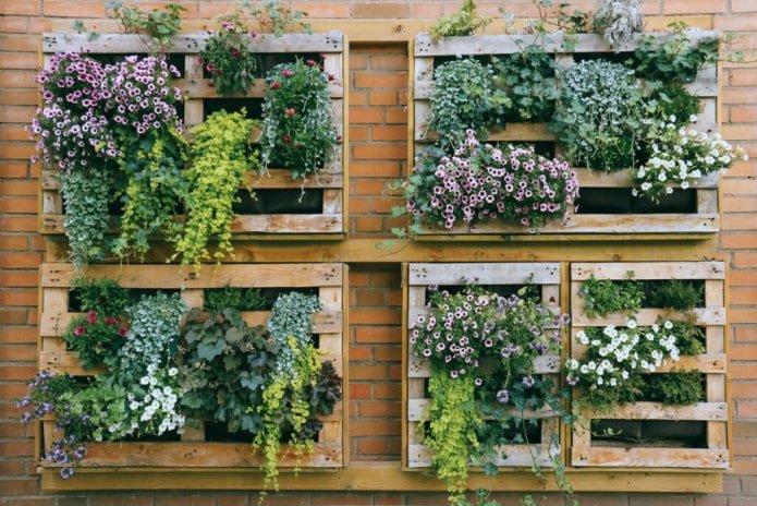 Vertical flower beds on a fence