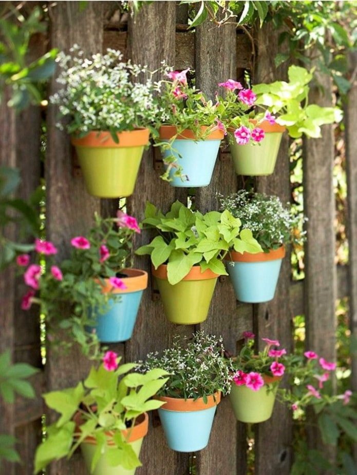 Flower pots on a fence