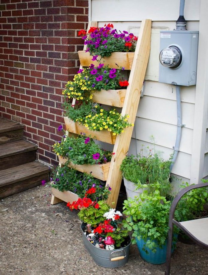 Flowerbed in the form of a ladder