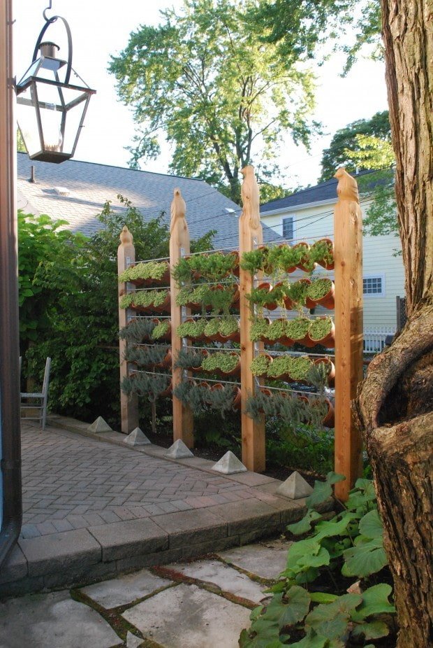 Screen of Plants in a Flowerpot