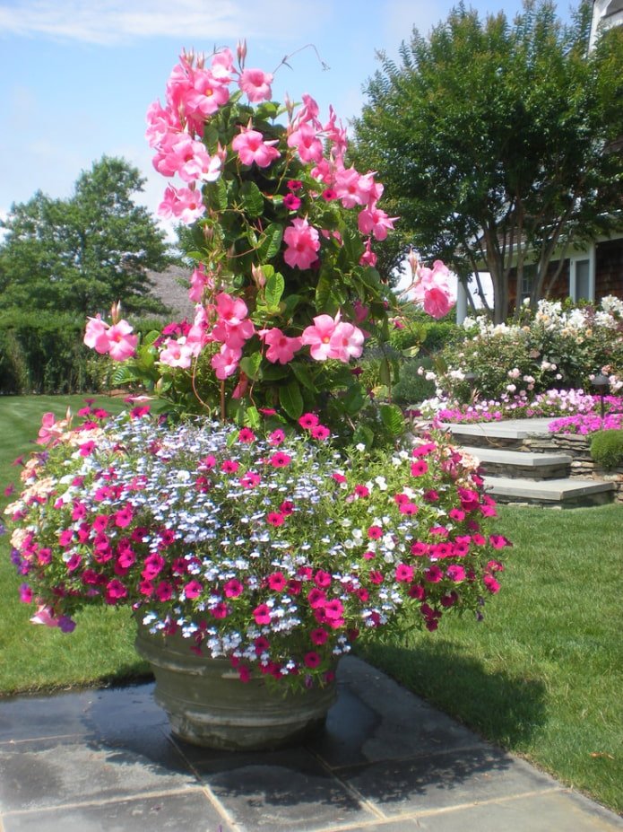Flowerbed in the shape of a fountain