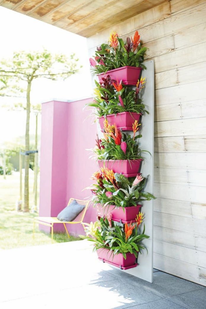 Flowerbed on a wooden base