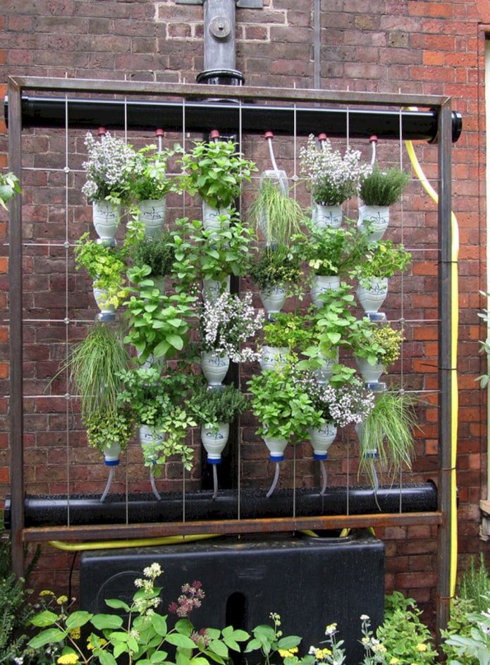 Hanging flowerbed made of bottles