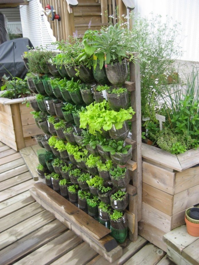 Rack made of bottles for flowers