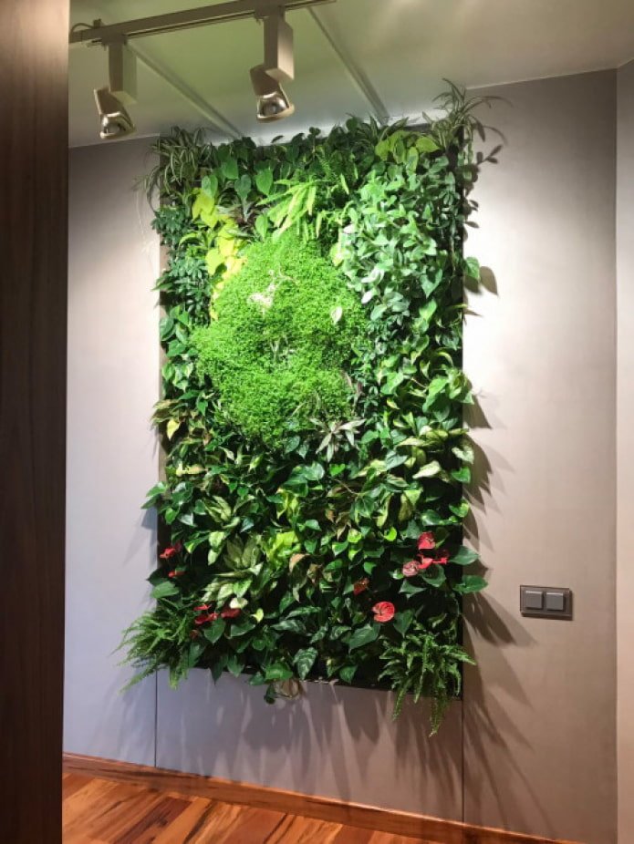 phytopanel made of vines