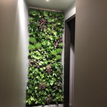 How to make vertical gardening in the interior?-0