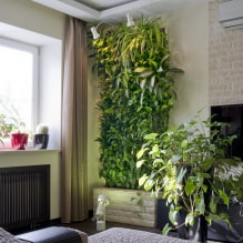 How to make vertical gardening in the interior?-3