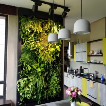 How to make vertical gardening in the interior?-2