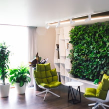 How to make vertical gardening in the interior? -5
