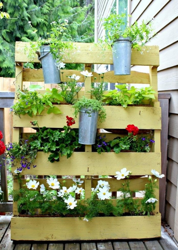 Pallets as beds