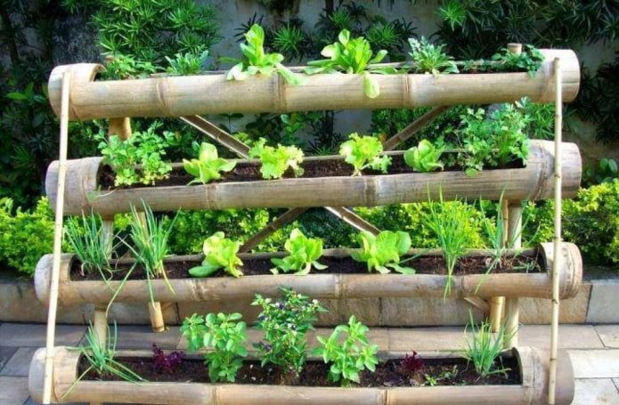 Bamboo beds
