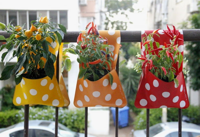 Small bags for peppers