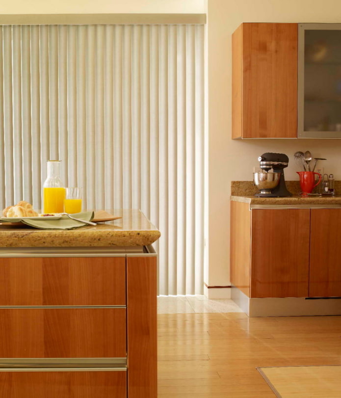 vertical blinds in the kitchen interior