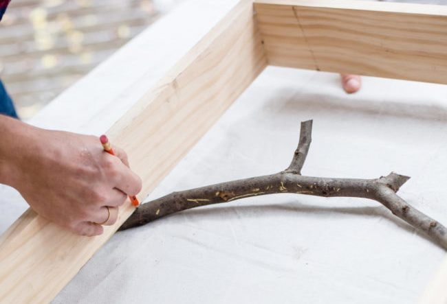Determining the size of the branches