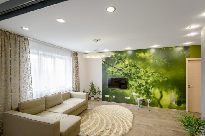 matte stretch ceiling