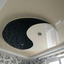 What types of stretch ceilings are there?-2
