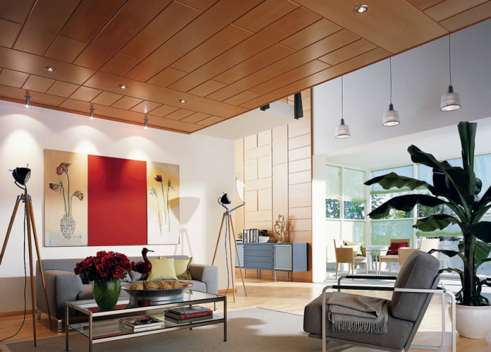 plastic panels on the ceiling in the living room