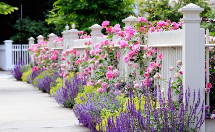 Flower bed along the fence