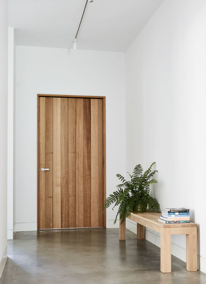 entrance door model in a minimalist style