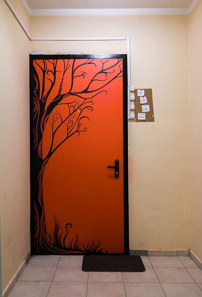entrance door with photo printing
