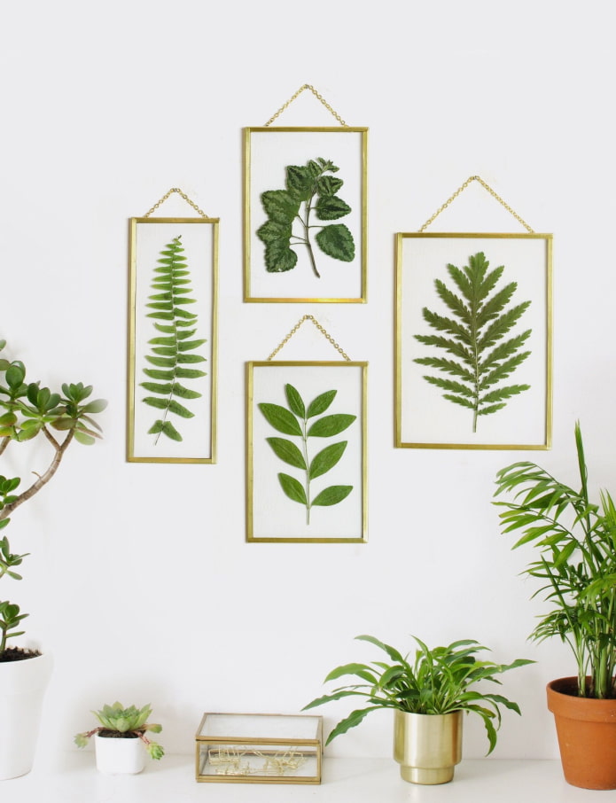 Herbarium in glass