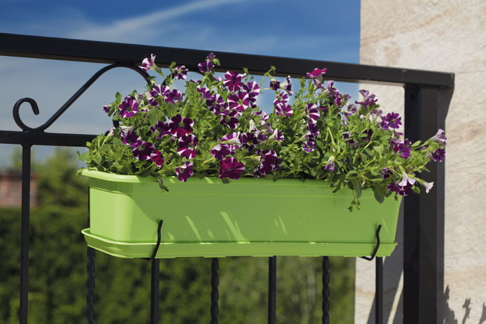 hanging flowerpots for a fence or gate
