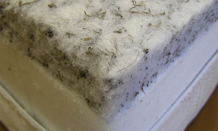 Struttofiber filler for an orthopedic mattress