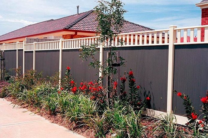 Flowers along a fence made of corrugated sheets