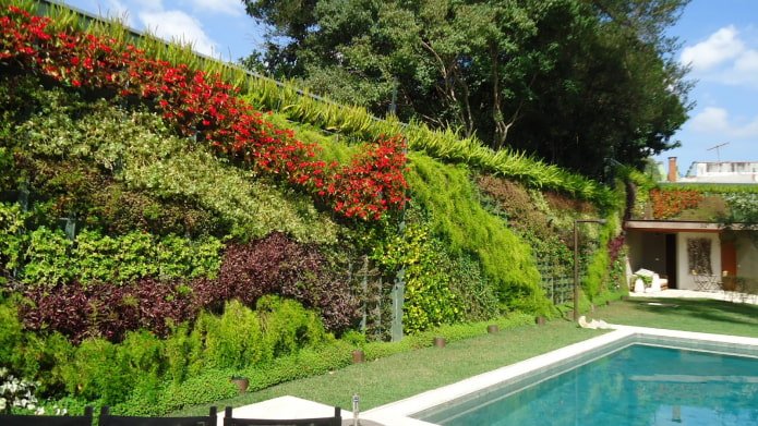 vertical garden between plots