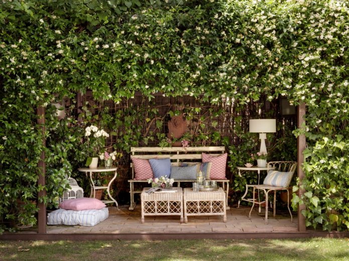 terrace entwined with maiden grapes