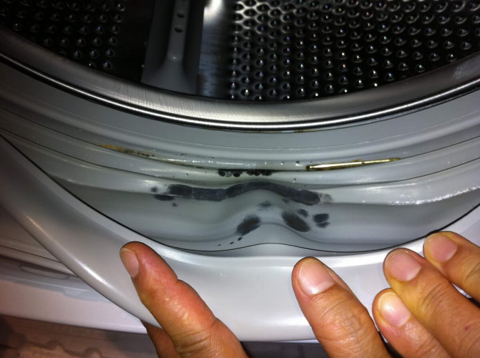 Mold on the rubber seal