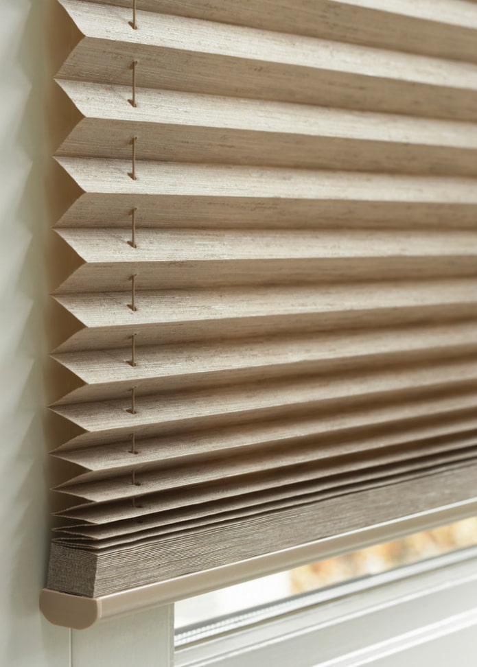 Pleated