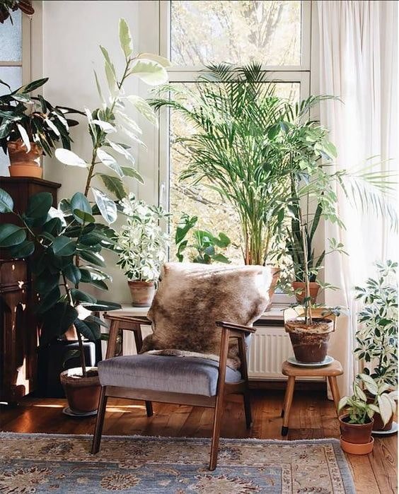 Curtains plus indoor flowers