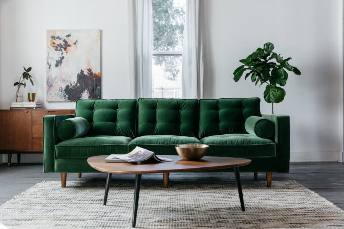 dark green sofa in the interior