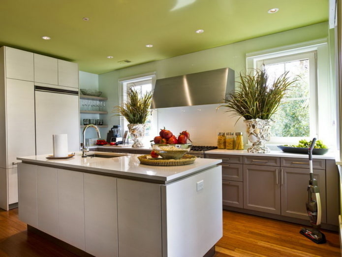 green single-level ceiling design 