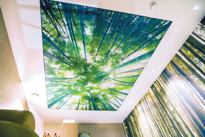 green stretch fabric with photo printing