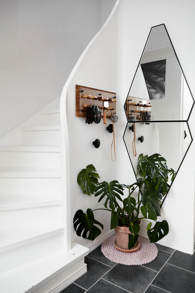 figured mirror in the interior of the hallway