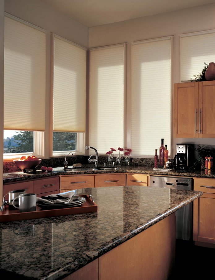 Pleated blinds across the entire window opening