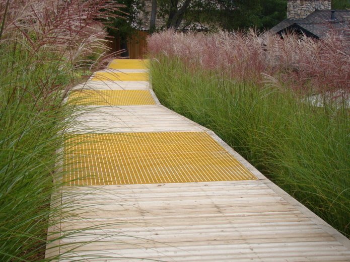Cereals near paths