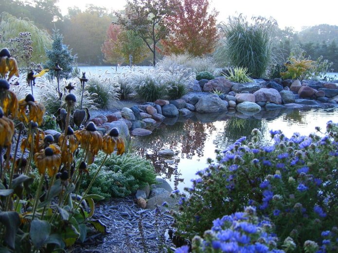 Garden with grains with a pond