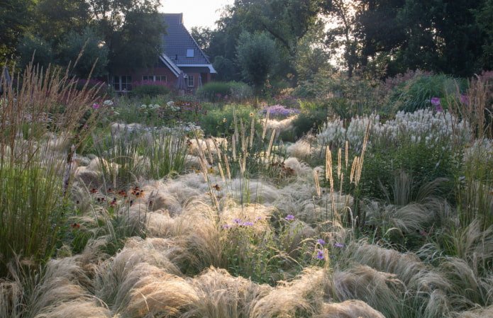 Steppe Garden