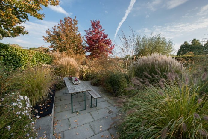 Zoning of the recreation area