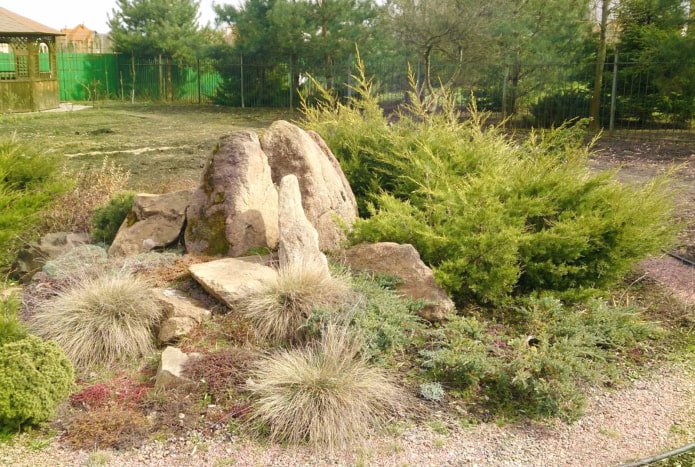 Rock garden with grains