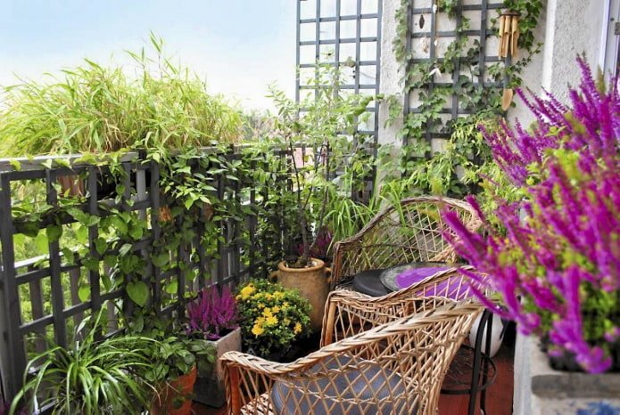 Balcony landscaping