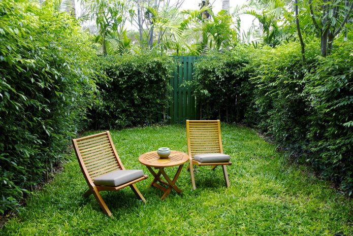 green room in the garden