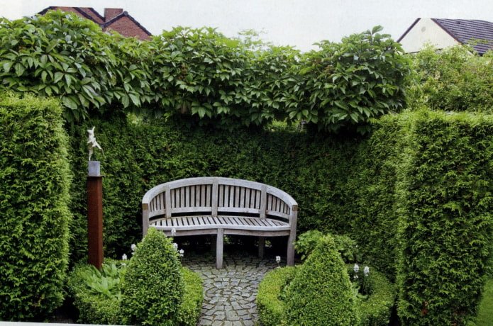 garden landscaping