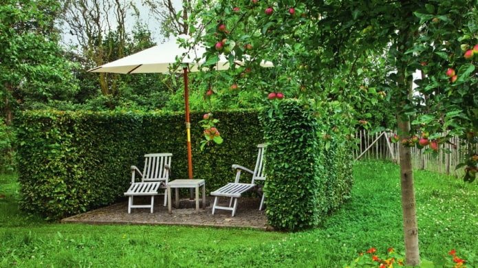 rest area behind a hedge
