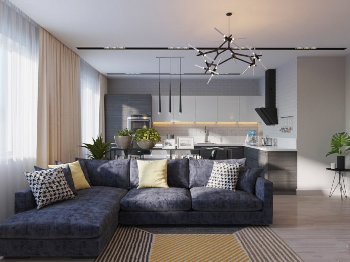zoning with a sofa in the interior of the kitchen-living room